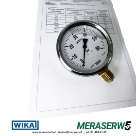 M100R/G 0-60BAR  PCA2